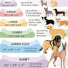 One of our favorite dog beds - Image 5