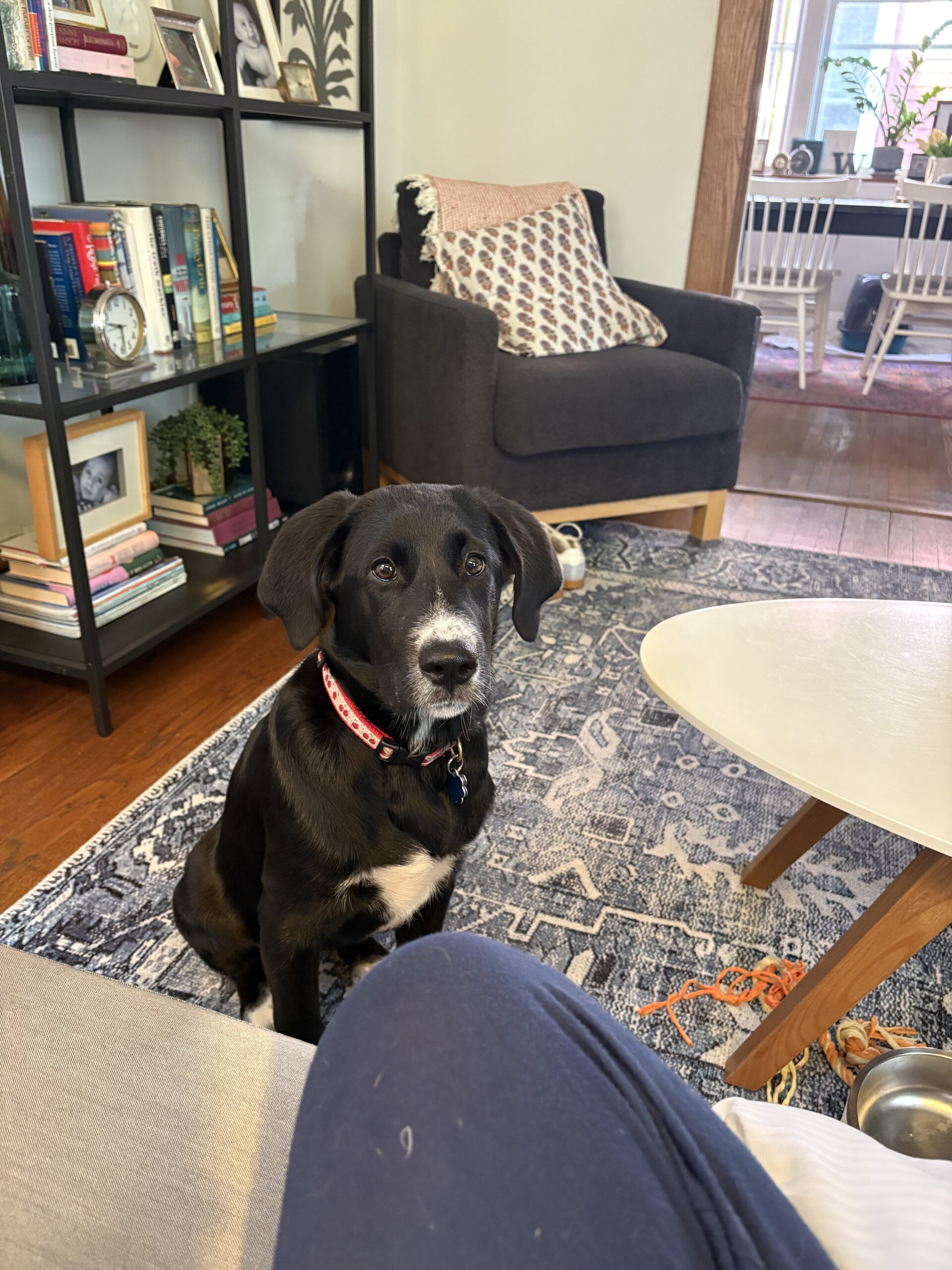 Belle aka “Belly”