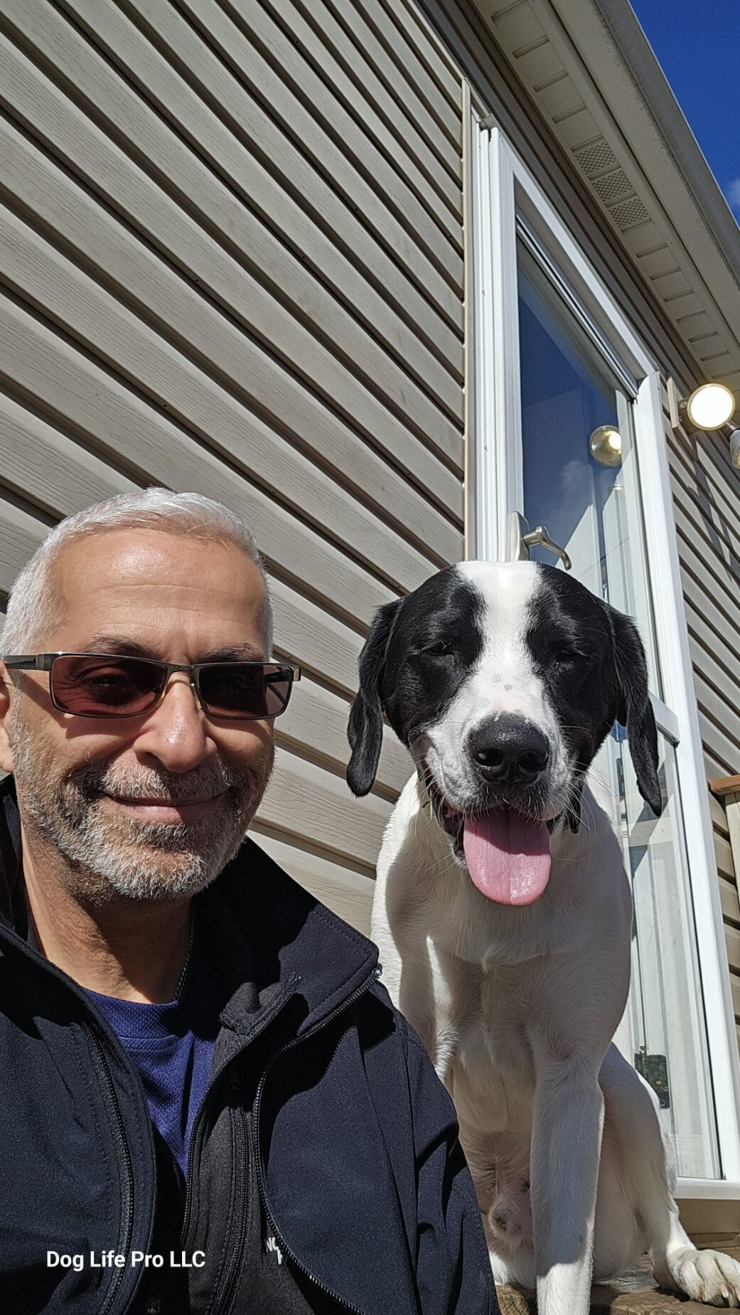 Dog trainer Neville Mistri with Bear, a black and white dog, outdoors in Oak Park
