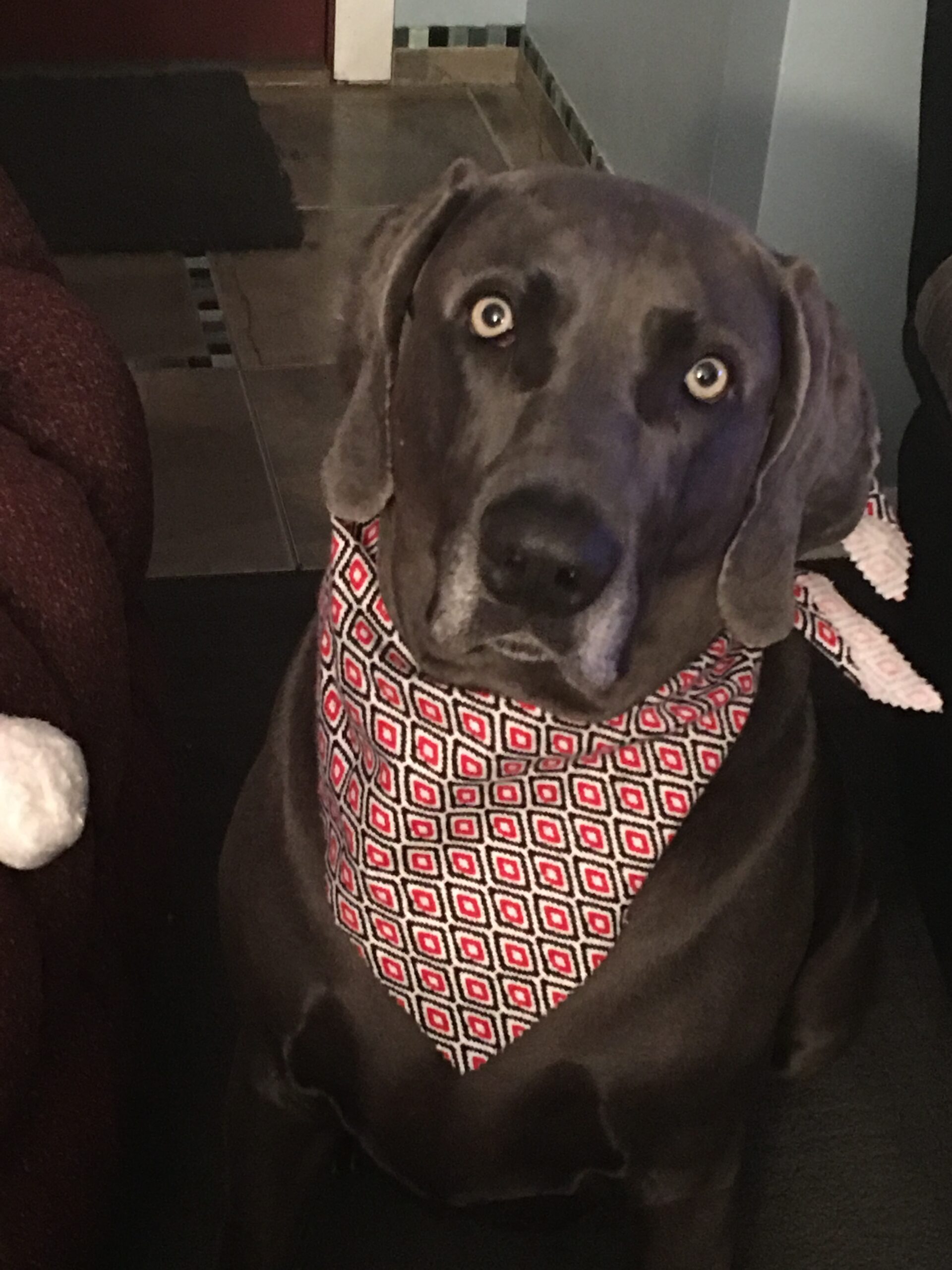 Vader