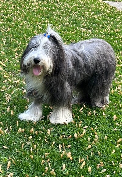George